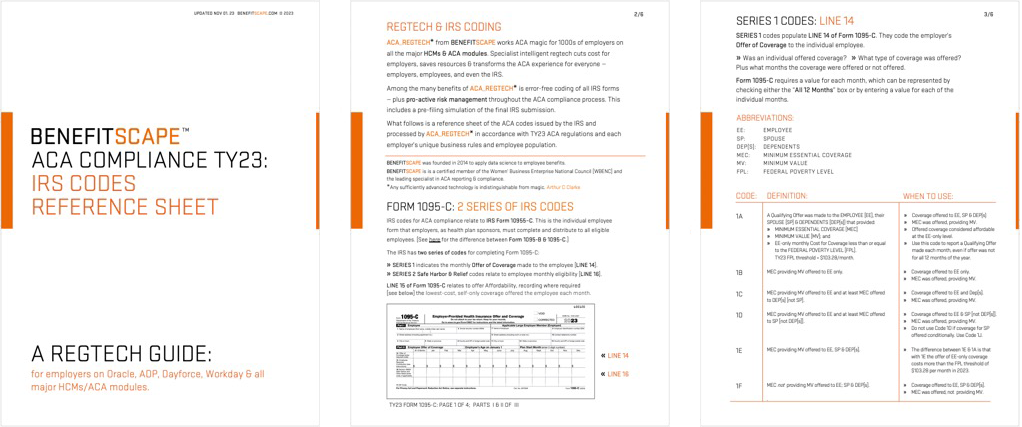 ACA TY23 Reference Sheet IRS Codes Screenshot1